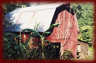 Ray's studio.