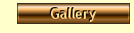 Gallery of Pictures.